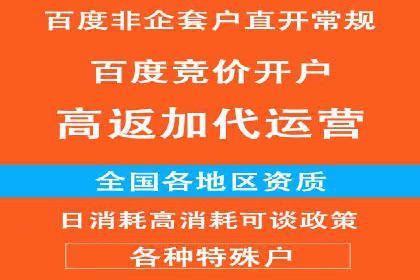 网络推广竞价策略案例分析
