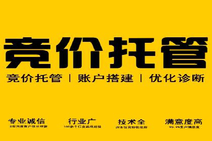百度SEO推广公司成功案例集锦：多行业适用策略分享